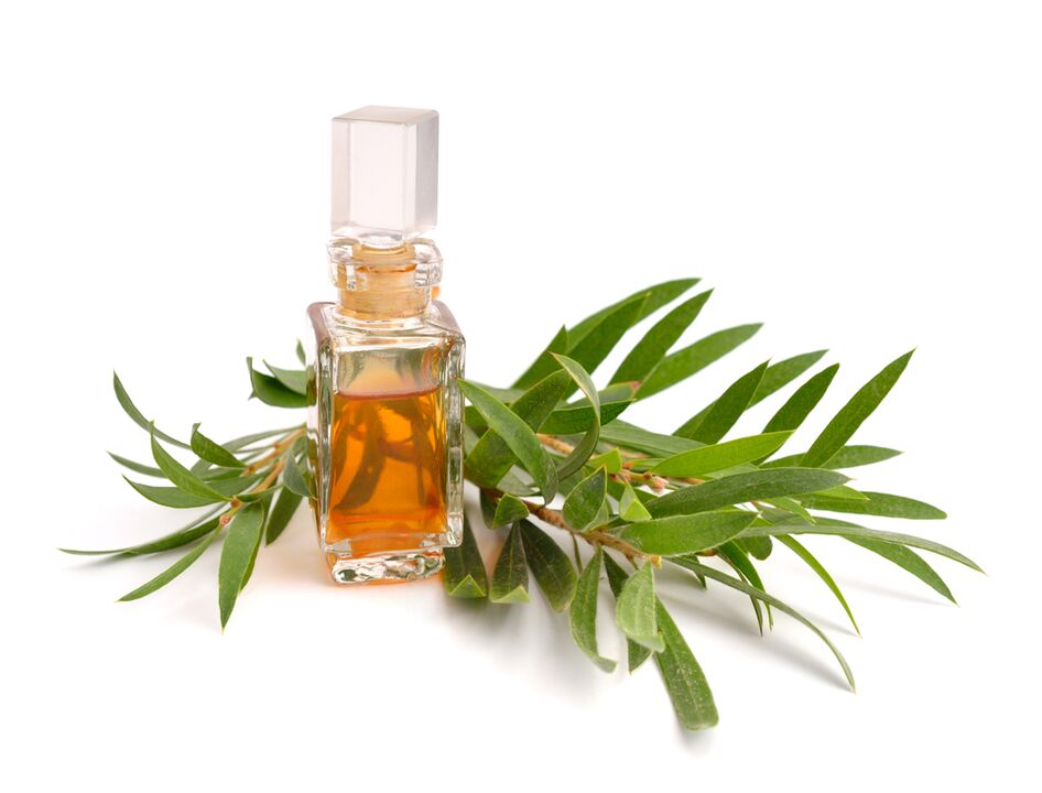 Aceite de árbol de té como parte del gel de Hondroine